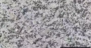 兰州 芙蓉白（芝麻白大花）火烧面