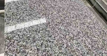 兰州 芙蓉白光面