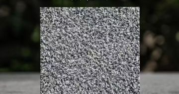 兰州 芝麻黑荔枝面