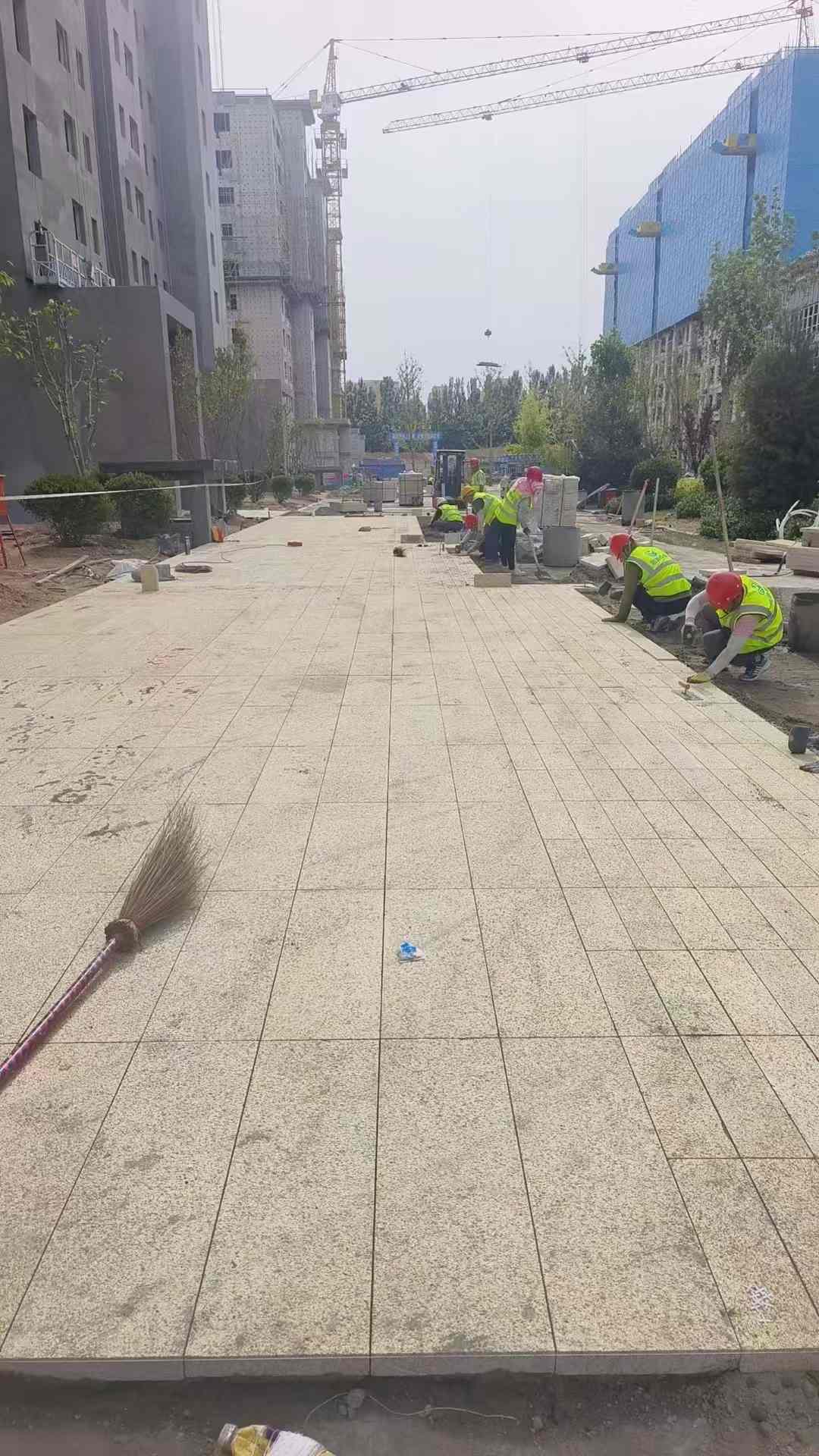 兰州黄金麻荔枝面地铺案例