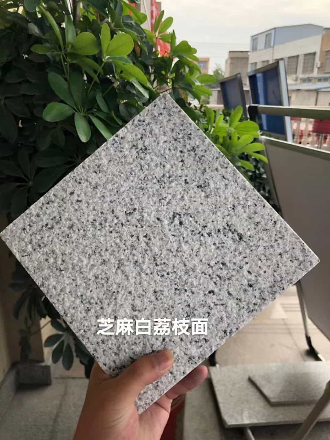兰州 芝麻白荔枝面干挂