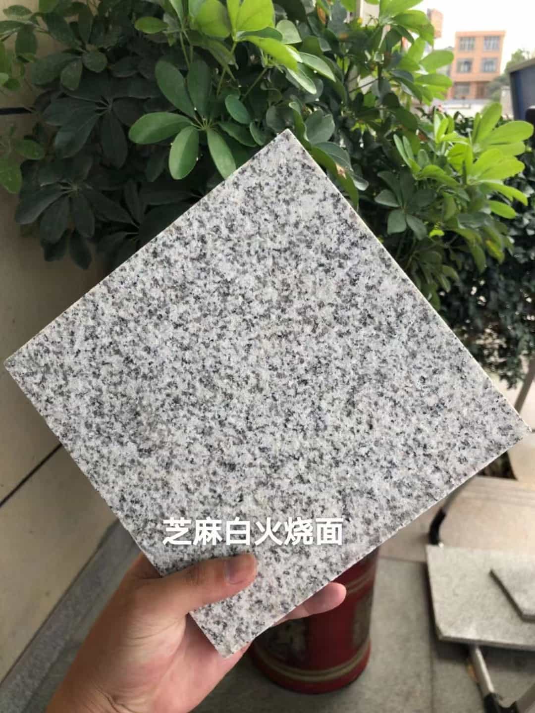 兰州芝麻白火烧面地铺