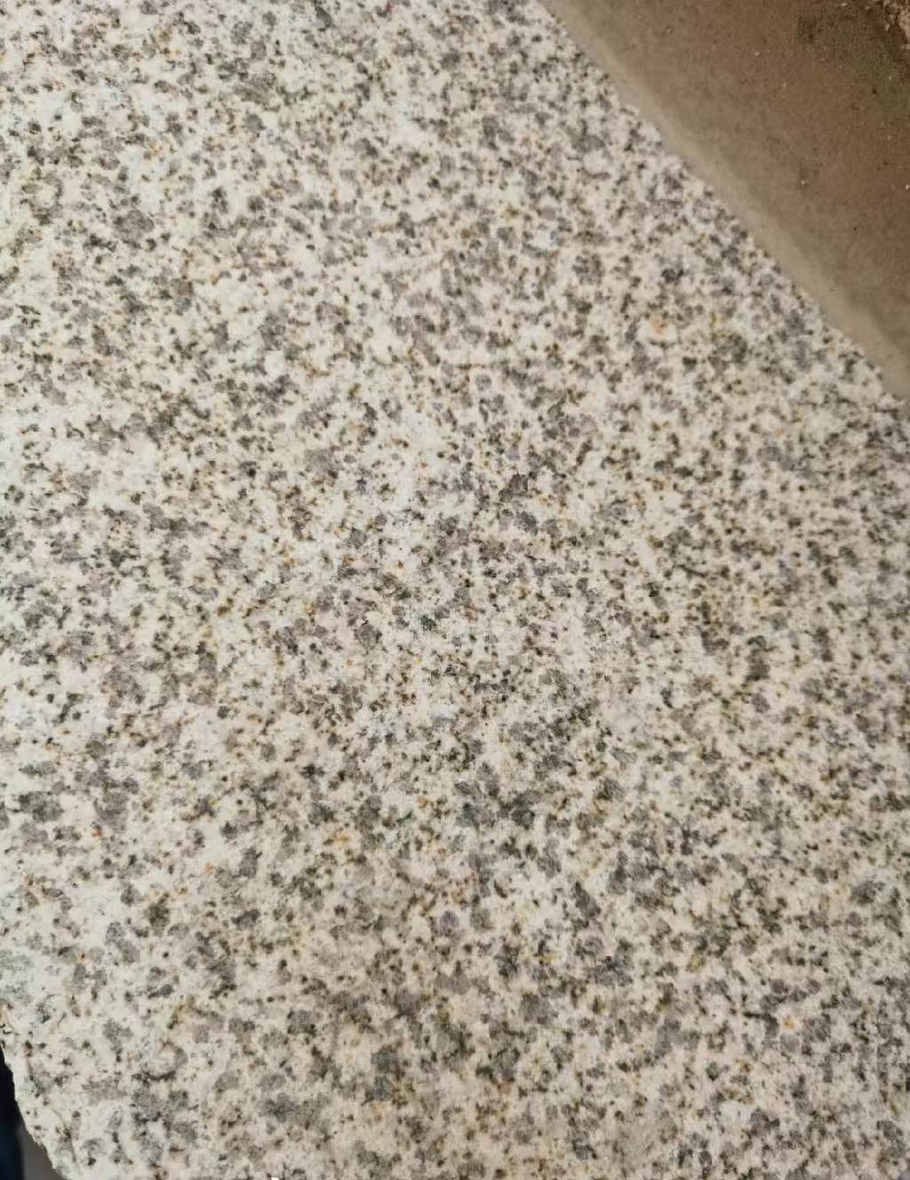兰州 黄金麻中黄光面