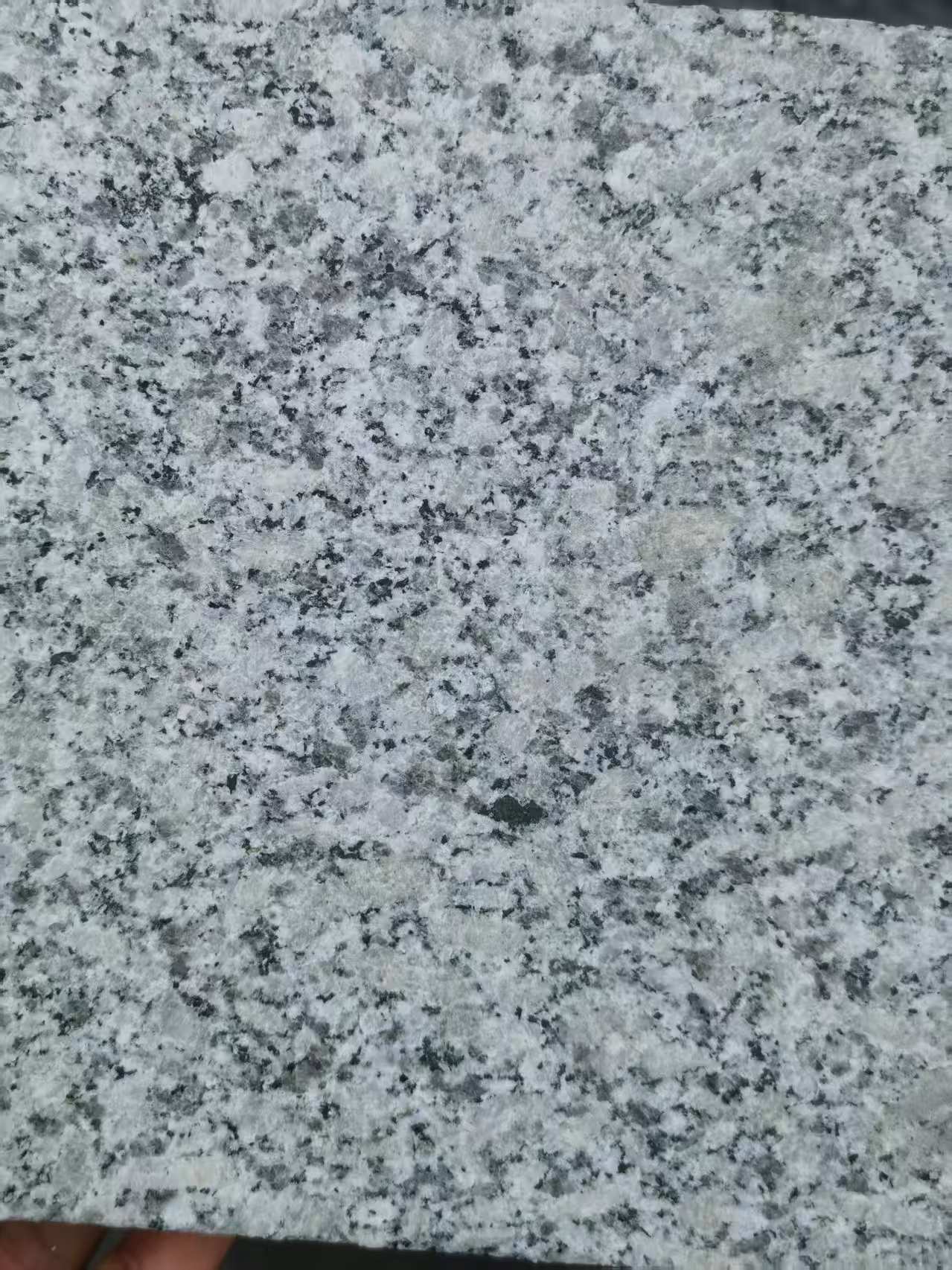 兰州 芙蓉白火烧面